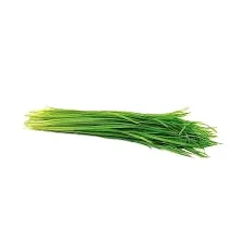 Wheatgrass Microgreens
