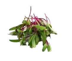 Red Beet Microgreens
